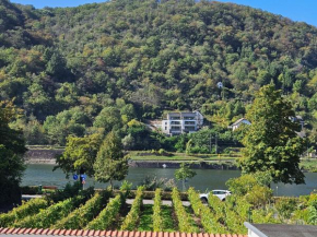 Hakans moselblick Ferienwohnung 2